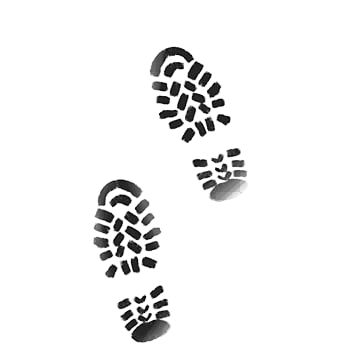 Shoe Animation